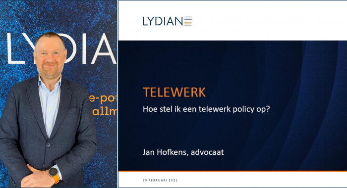 Webinar: Telewerk