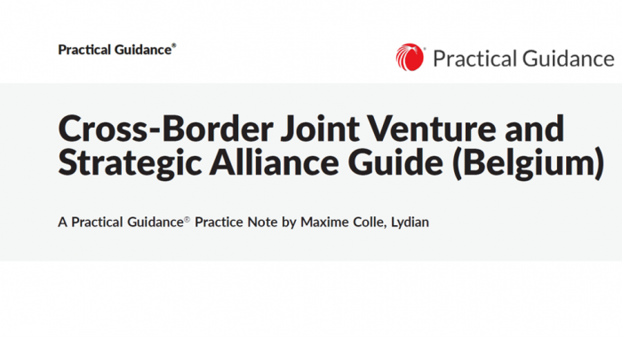 Practical Guidance Guide on Cross-Border Joint Venture and Strategic Alliance