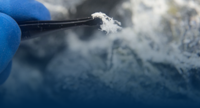 Asbestos